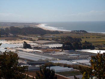 View from CCWD Water Storage Tank Overlooking Nurserymen's Exchange