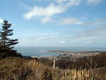 View from CCWD Water Storage Tank Overlooking Pillar Point Harbor