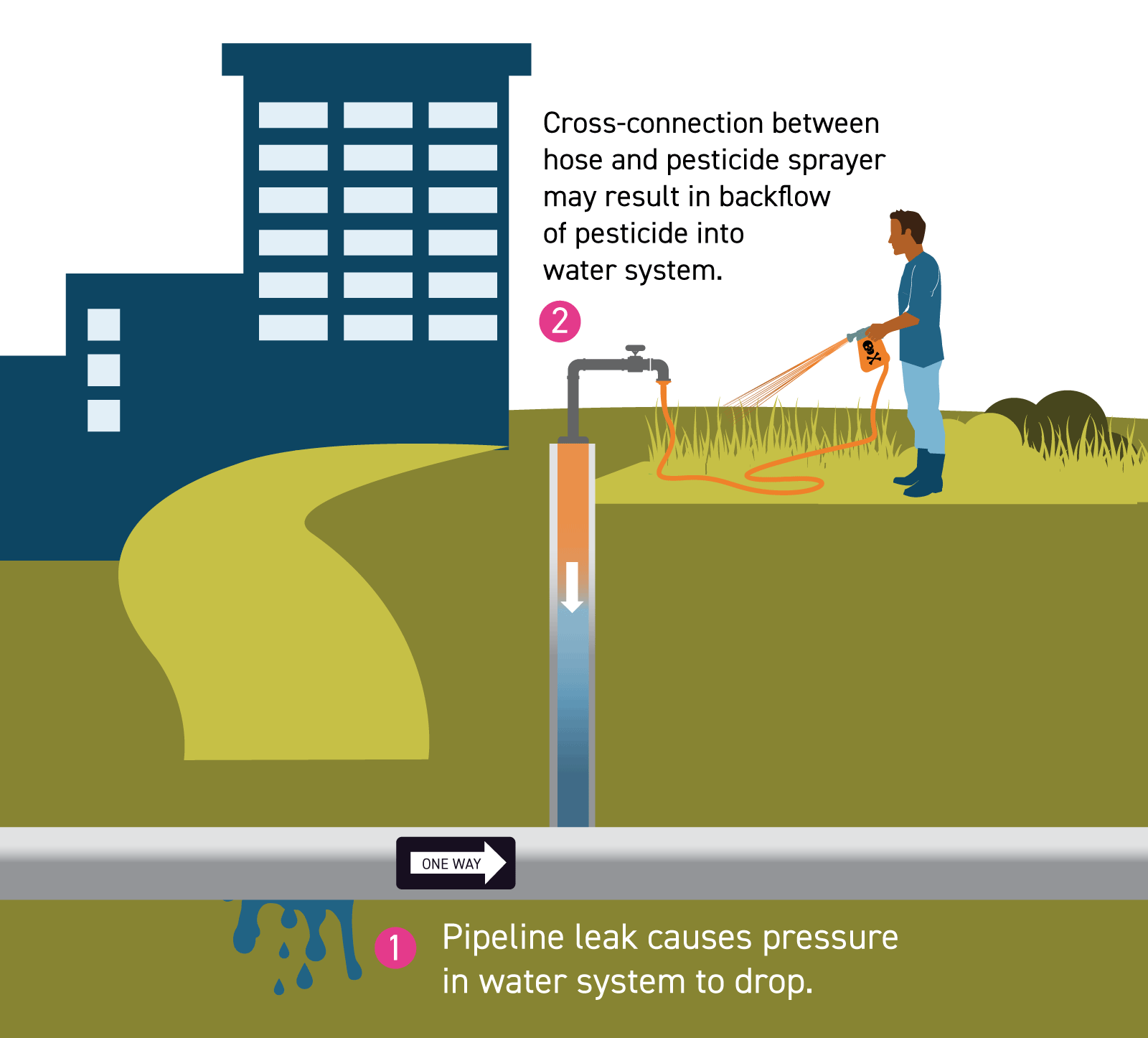 graphic illustrating cross-connection contamination between hose with pesticide sprayer attachment and public water main without cross-connection or backflow control